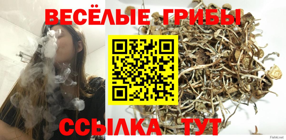 Новодвинск  Галлюциногенные грибы Magic Shrooms  Вход с VPN 
