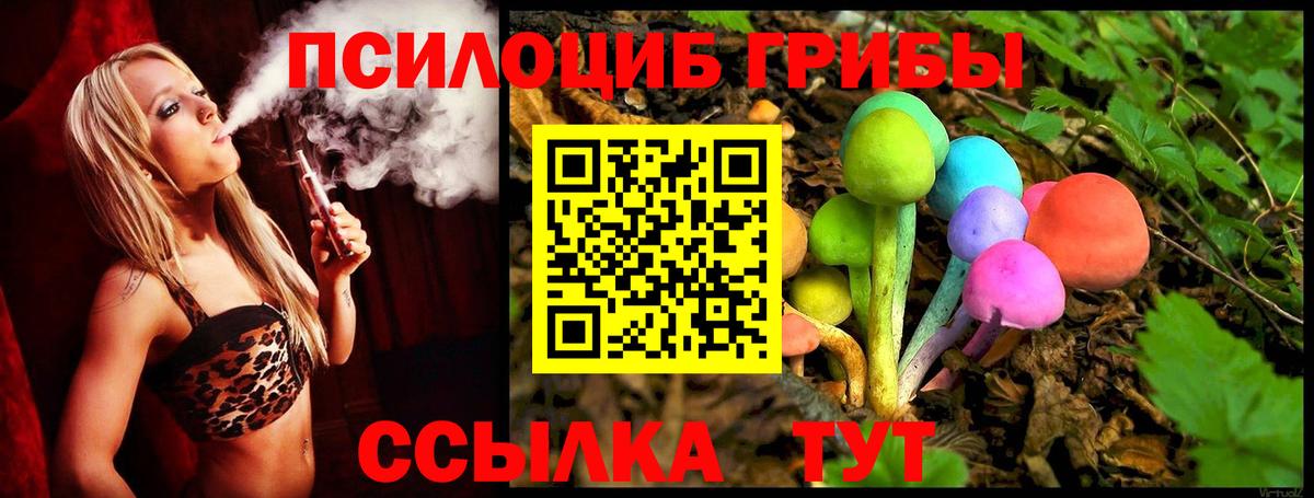 Псилоцибиновые грибы MAGIC MUSHROOMS Новодвинск
